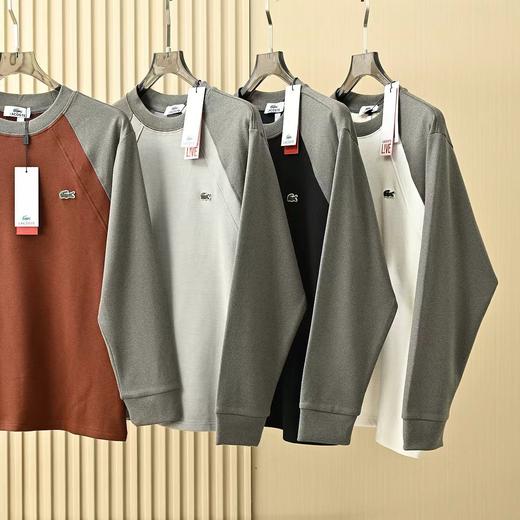 饿鱼2026春秋男士圆领双面德绒休闲撞色卫衣打底T恤 商品图1