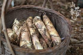 临安山地春笋 48-72小时发货 5斤家庭装