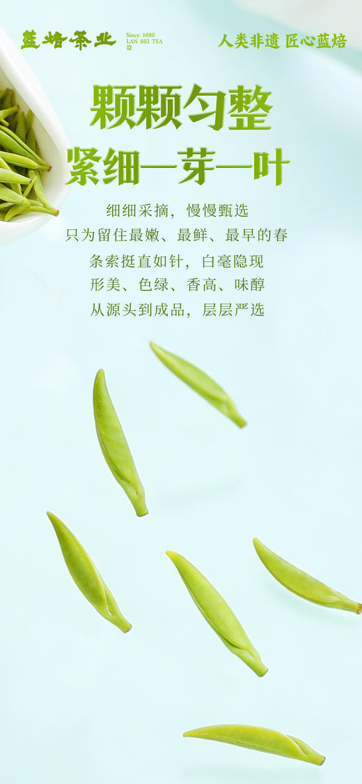 2026年 蓝焙·恩施贡芽炒青绿茶 绿款208g/盒 商品图4