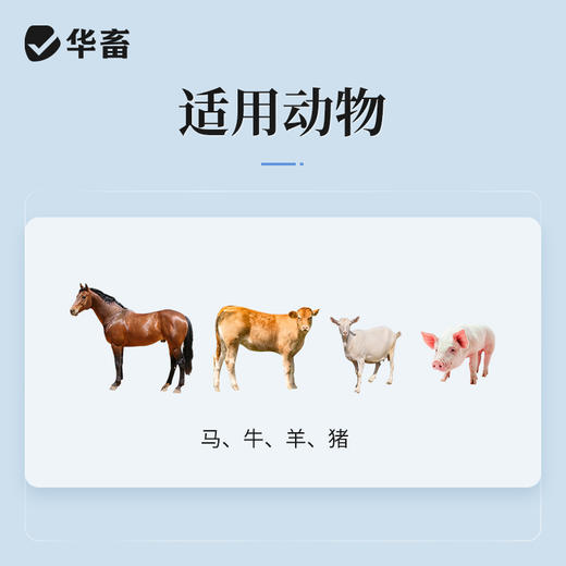 【积分兑换】华畜鱼腥草注射液 产后康清热解毒消脓排肿 商品图2