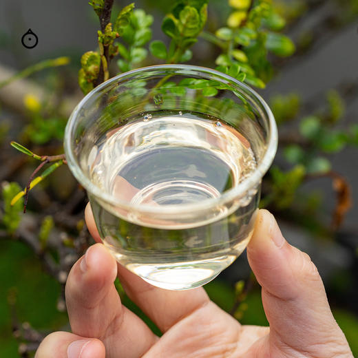 企鹅市集|糯言 玫瑰花窨/沐观音/葡萄酒酵母/2种酵母拼配/桂花 纯米酒生原酒700ml 甘梨青提杨桃香 商品图9