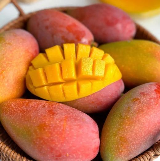 海南树熟一级贵妃芒果礼盒顺丰包邮*2.5kg 商品图0