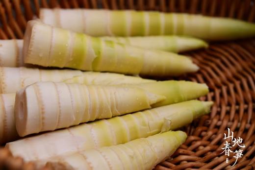临安山地春笋 48-72小时发货 5斤家庭装 商品图1