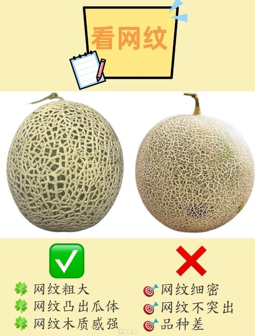 品牌牛三网纹瓜蜜放软吃更甜顺丰包邮 商品图4