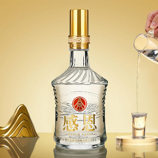 五粮液股份出品感恩流金岁月双支礼盒52度浓香型白酒500ml*2瓶【不支持七天无理由退换】-FF 商品图1
