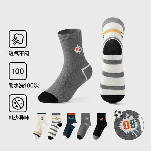 【5双装】【有棵树】男童中筒棉袜组合装 商品图1