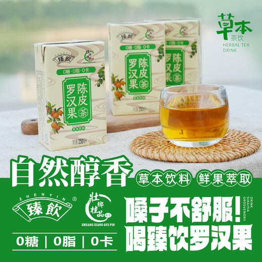 壮乡桂品 罗汉果陈皮茶250ml*6盒 商品图1