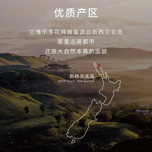 【女神节】百花蜜*新西兰多花种蜂蜜原装进口花蜜(500g/瓶) 商品图4