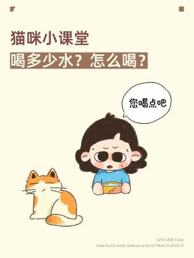 猫咪喝水多少才够？骗水指南在此！