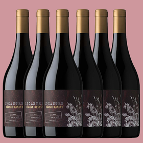 【整箱】年度醉佳马尔贝克！智利一级庄！金丝马尔贝克干红 La Ronciere Malbec 2019