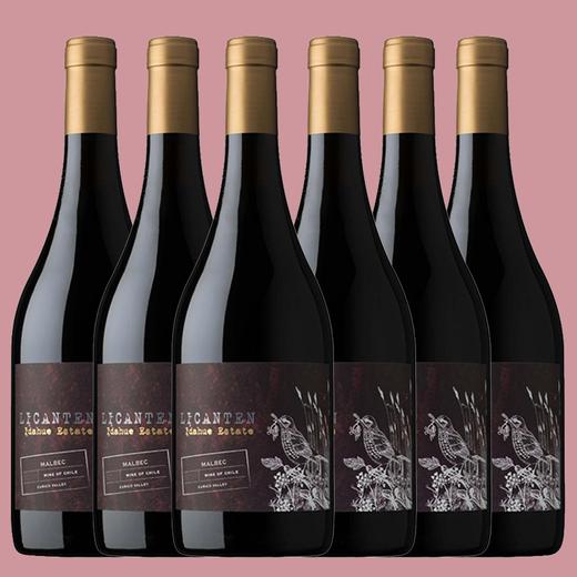 【整箱】年度醉佳马尔贝克！智利一级庄！金丝马尔贝克干红 La Ronciere Malbec 2019 商品图0