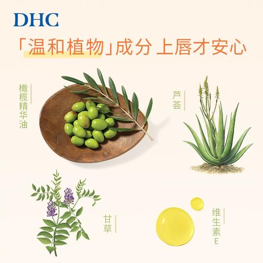 【跨境】DHC橄榄护唇膏2支装1.5g*2支（效期：2027-09-01） 商品图3