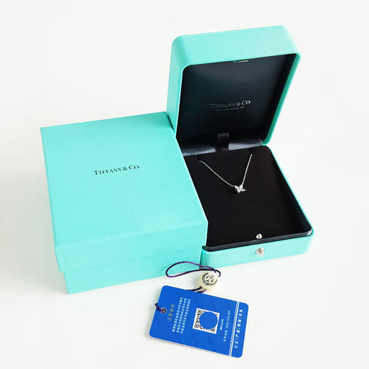 【95新】Tiffany & Co.蒂芙尼Victoria系列小号铂金满钻维多利亚四叶草项链 链长约41cm女士250226NJS02 商品图1