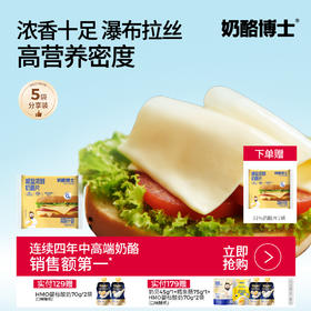 【奶酪博士】81%干酪高营养减盐浓醇奶酪片 83g*5袋