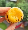 品牌人参果露天风化石土壤种植顺丰包邮 商品缩略图2