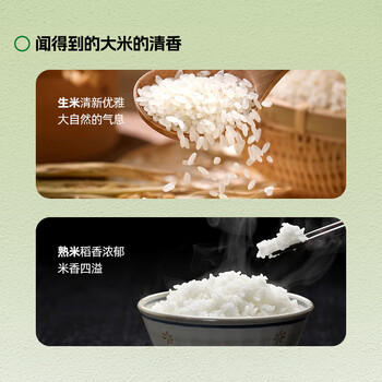 百梁桥长粒香大米20斤 东北大米粳米10kg 真空当季新米25年新米包装 /粮油调味 /米 /珍珠米 商品图6