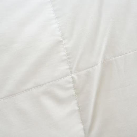 【富安娜】B座7富安娜超柔蓄暖95鹅绒四季被/斯嘉丽 商品图3