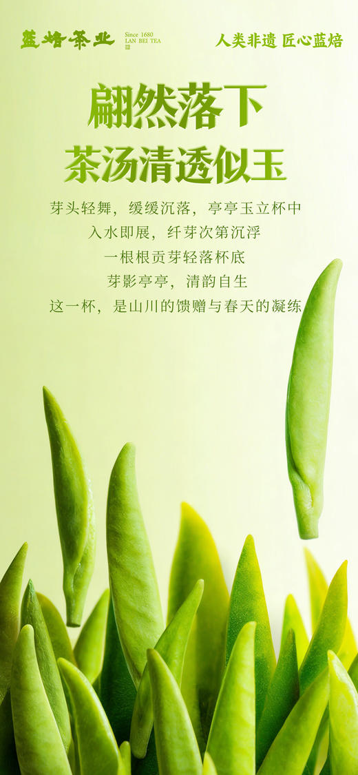 2026年 蓝焙·恩施贡芽炒青绿茶 绿款208g/盒 商品图5