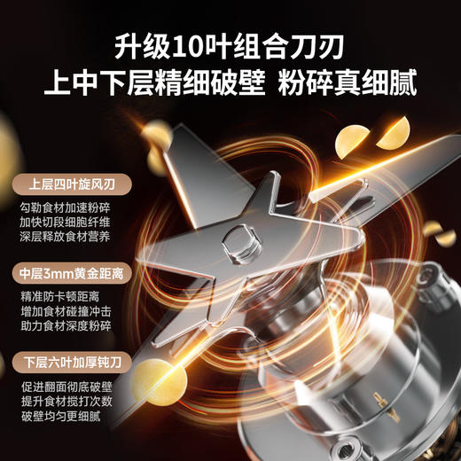 大宇新款破壁机豆浆机家用小型榨汁机静音sm21 商品图2