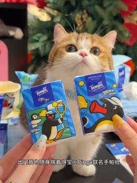 🐾人，𝐆𝐮 的猫宁！