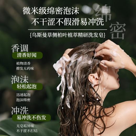 【乌斯曼侧柏叶植萃精研洗发皂】 植物本草 泡沫绵密 易冲易洗 温和不刺激 商品图5