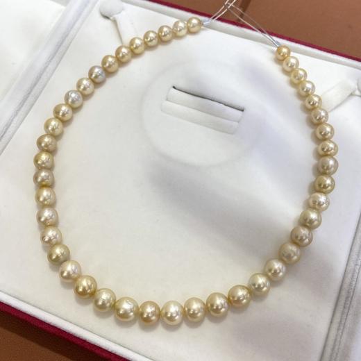7.9-10.2mm金珠项链 商品图2