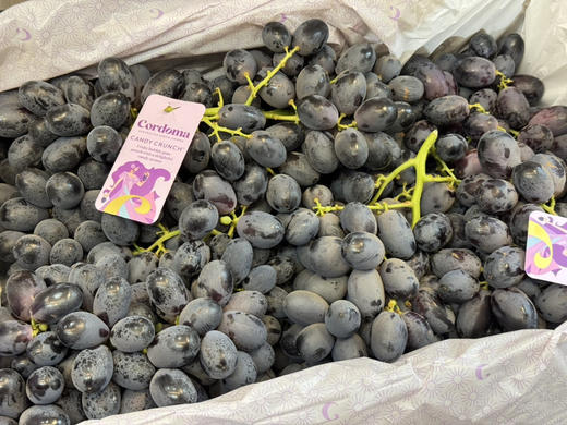 澳洲黑提（散称49.8/斤称重补差） 商品图2