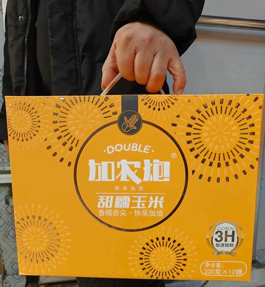 加农炮甜糯玉米 12只新鲜黄糯玉米 真空包装 即食代餐 东北田里糯玉米 商品图5