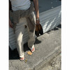 THESOONG/纯棉直筒牛仔裤女秋冬款小个子胯宽显瘦休闲裤HBKZ7460 商品缩略图0