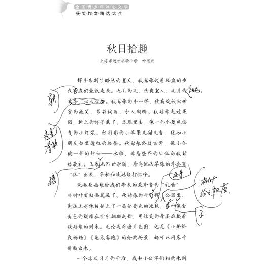 《全国青少年冰心文学获奖作文精选大全》（小学、初中、高中卷） 商品图6