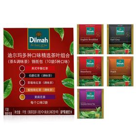 迪尔玛多种口味精选茶叶组合调味茶（5种口味）