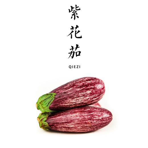 合作｜紫花茄/紫茄子 商品图0