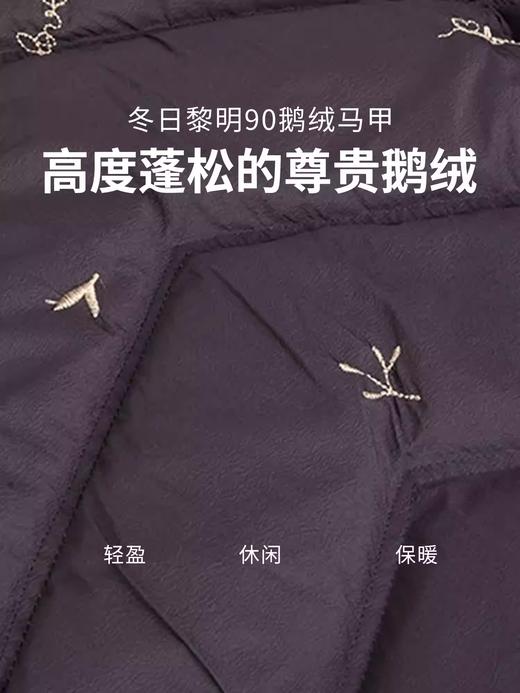 【群内福利】【黑色羽绒服马甲】90白鹅绒连帽款 商品图2