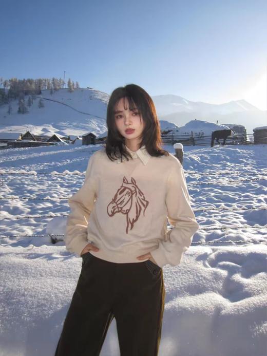 浮生八记/25D255/全棉冬日小马驹手工刺绣毛巾绣圆领卫衣 商品图3