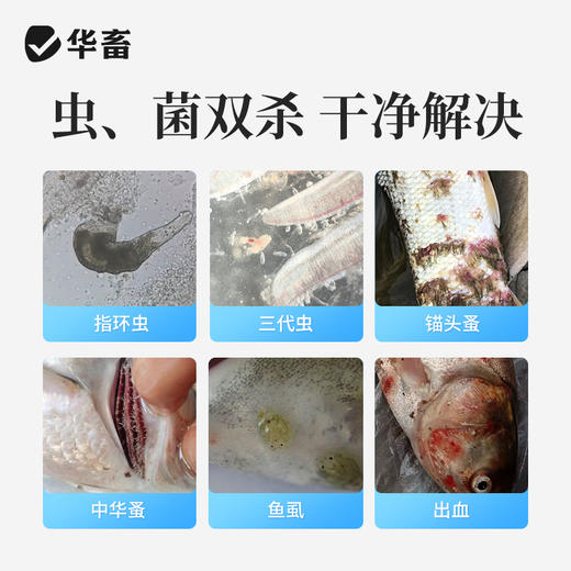 华畜 水产养殖辛硫磷溶液国标兽药鱼虾蟹有机磷杀虫药 商品图1