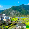 成团有位【徽杭古道B·立减50元】浙西天池&华东经典路线-绩溪龙川-家朋梅圩岭油菜花 商品缩略图5