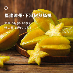 企鹅市集|福建下河杨桃 自然树上熟 清脆多汁 独特迷人风味