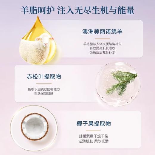 澳芝曼绵羊油护手霜 滋润脂防干裂维E霜澳洲原装进口四季保湿70g 商品图1