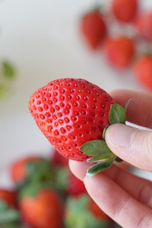 山东临沂   酵素生态香野草莓 现摘现发 商品图2