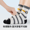 【5双装】【有棵树】男童中筒棉袜组合装 商品缩略图3