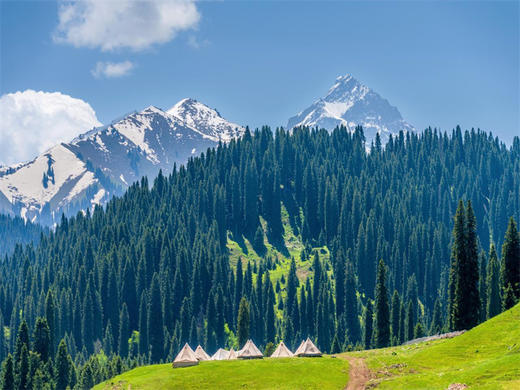 清明6日【伊犁杏花】绝色新疆6日の吐尔根-那拉提冰百合-大西沟杏花-独山子大峡谷-赛里木湖 商品图9