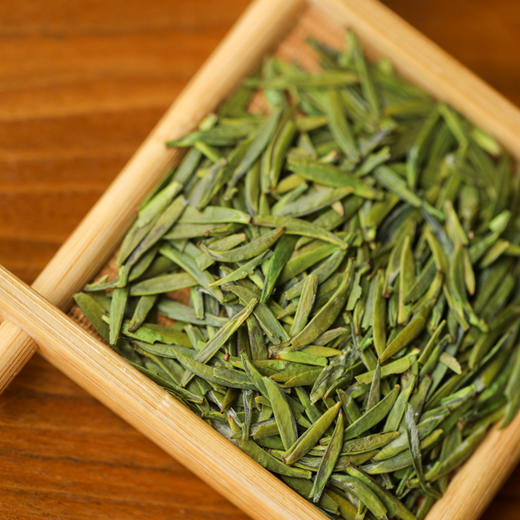 宜宾早茶2026年新茶高山雀舌明前绿茶茶叶特级50g 商品图5