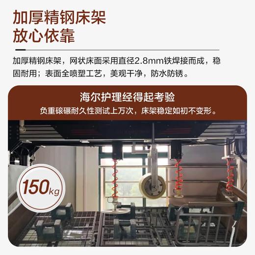 海尔（Haier）C203护理床老人家用医用电动床康复病床翻身辅助多功能 HJU0-C203H00院线同款全曲坐姿 关爱C2系列 商品图7