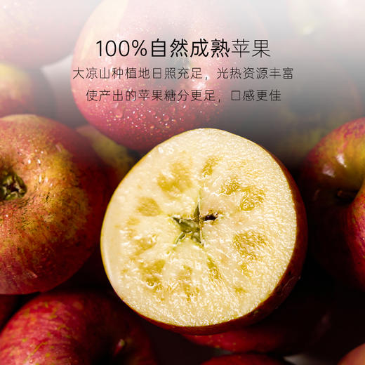 几分之几 糖心苹果干 选自大凉山苹果 软糯有嚼劲 60g/袋 商品图1