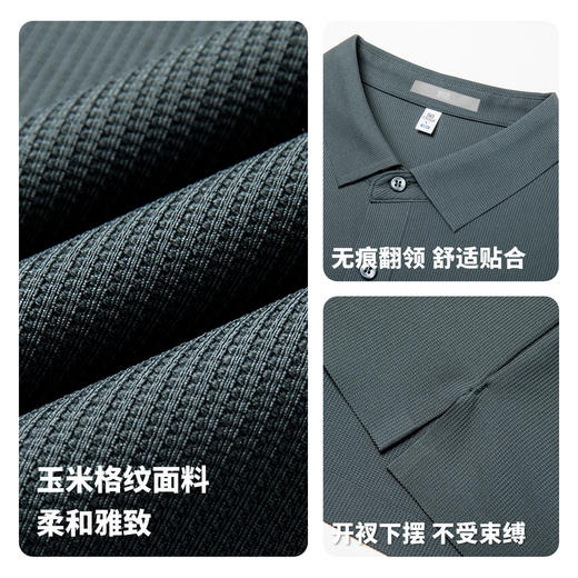 【5A级抗菌】圣得西短袖男款polo衫2026新款春季商务绅士翻领T恤 商品图4