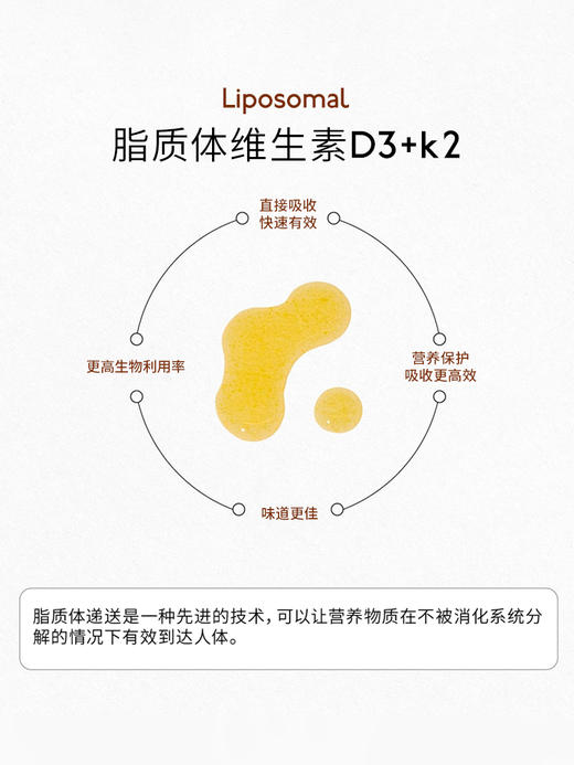 SOMEGA索美嘉 脂质体VD3维生素D3+K2 5X 高生物利用率 60毫升/瓶 商品图1