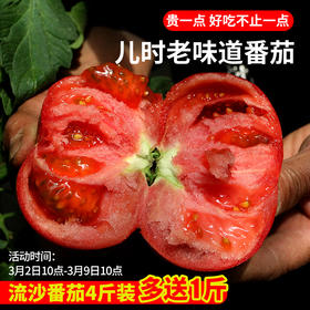 【流沙番茄 炒菜做汤一绝】【包邮装】 农家沙瓤流沙番茄    自然成熟   酸甜多汁  西红柿  2斤/4斤