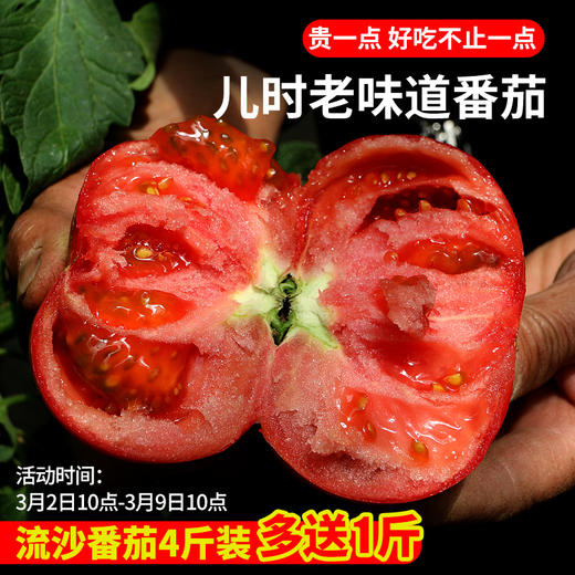 【流沙番茄 炒菜做汤一绝】【包邮装】 农家沙瓤流沙番茄    自然成熟   酸甜多汁  西红柿  2斤/4斤 商品图0
