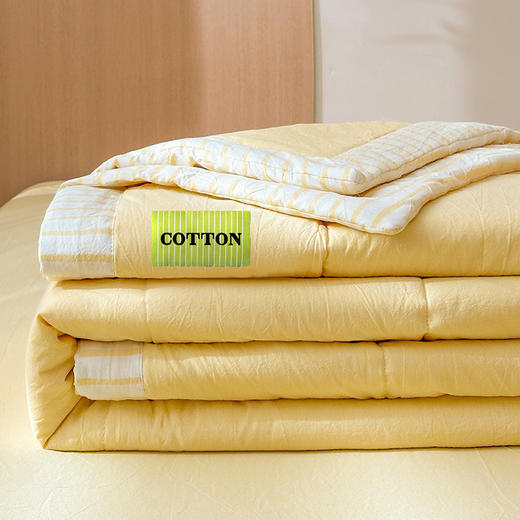 【品牌直发】加倍生活 A类里外全棉纯棉色织水洗棉棉花夏被四件套-果色系列 4色可选 空调被夏凉被 商品图5