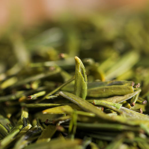 宜宾早茶2026年新茶高山雀舌明前绿茶茶叶特级50g 商品图3